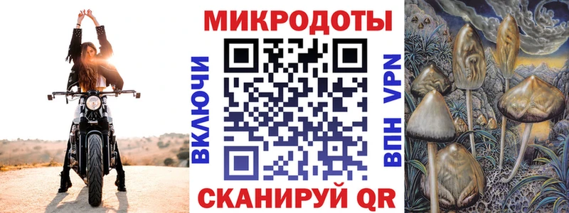 наркошоп  Мостовской  Псилоцибиновые грибы Psilocybine cubensis 